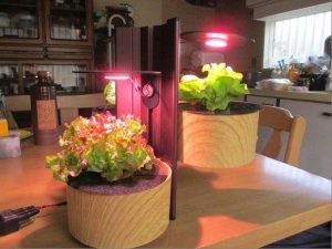 小型家庭用人工光源（LED）栽培装置