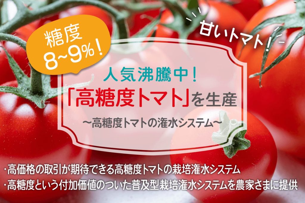 最新の高糖度トマト栽培方法はこれだ！ - 糖度８～９- 農業技術力の伊達潔技術士事務所