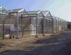 有機栽培システムの温室：側壁はネット
