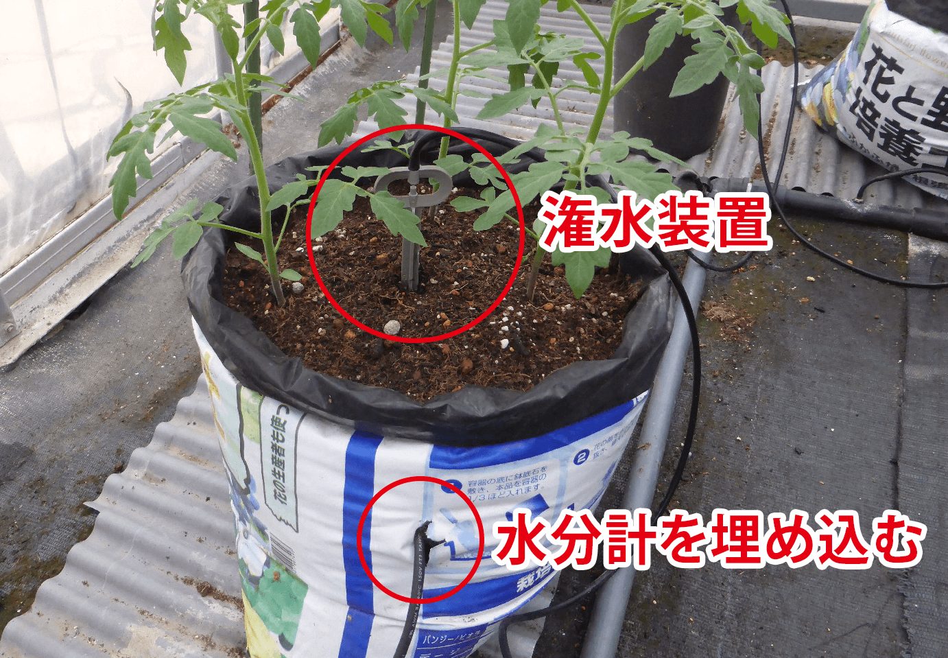 トマトバッグ栽培潅水プロの水分計と潅水装置